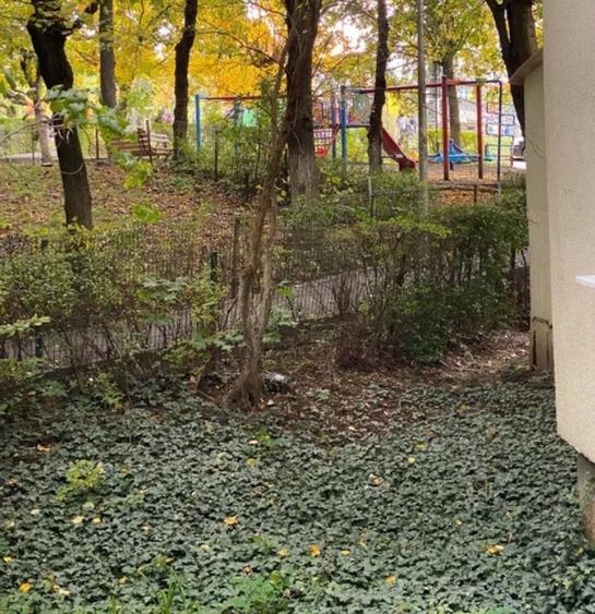 Apartament 2 camere+balcon,decomandat /ideal investitie/zona Mehedinti - 8