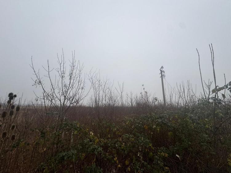 COMISION 0 | Teren intravilan | 17.700 mp | Zona Freidorf - 2