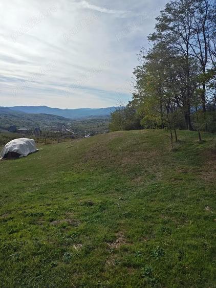 Teren Zona Subcarpatica Berislavesti - 2