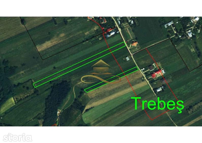 De vanzare doua loturi de teren in Fantanele-Bacau - 4