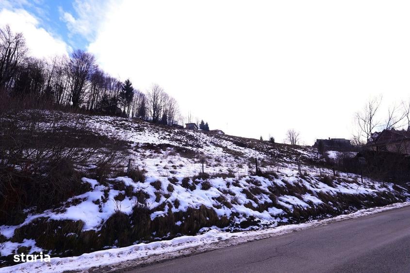 Teren zona turistica Parang - 7