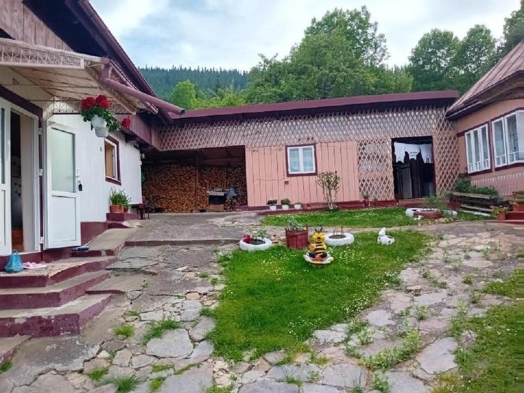 Casa Câmpulung Moldovenesc - 1