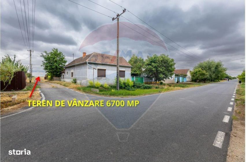 Teren de vanzare cu poten?ial construibil 6,700mp Variasu Mare - 3