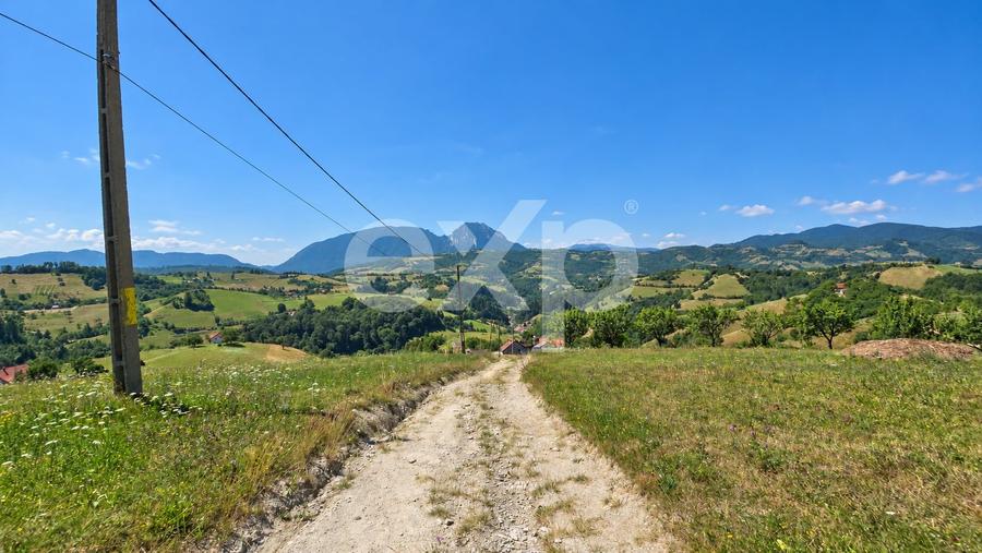 Teren agricol extravilan de 1061 mp, în Poiana Mărului