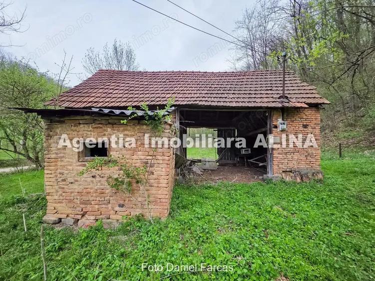 Teren intravilan 1.700 mp + 6.600 mp Padure de foioase + 1.200 mp Padure de foioase, Sat Nojag. - 14