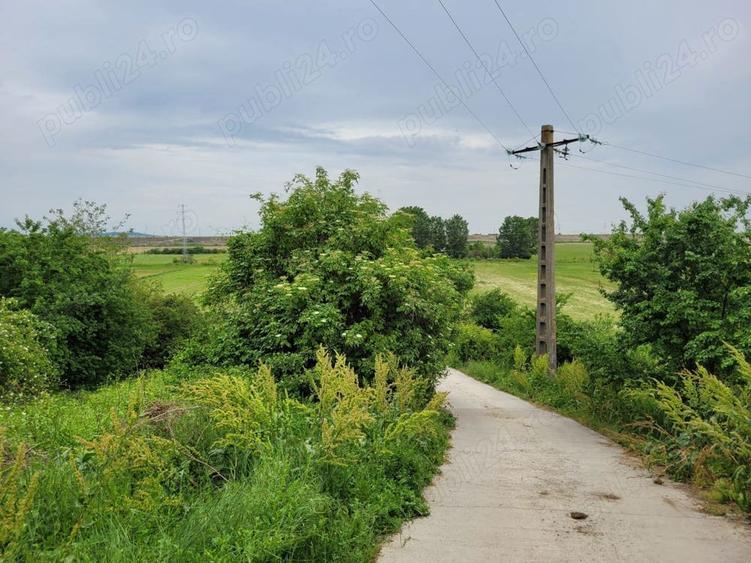 Casa in Calinesti Ph 4 camere teren 4997mp 50.000e - 1