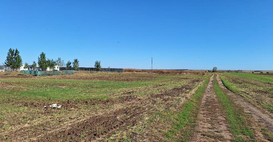 Teren de vanzare in Costinesti 400 mp - 8