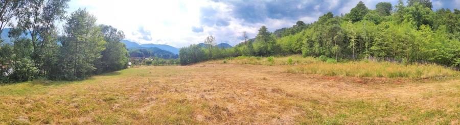 Teren 5600mp in localitatea Malaia - 4