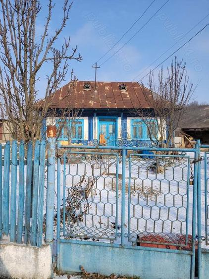 Teren si casa batraneasca 3100 mp - 2