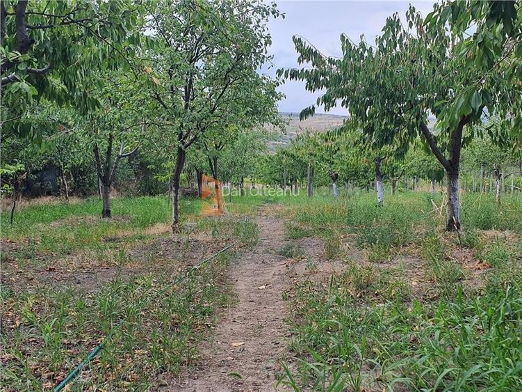 Casa si livada zona Pietroasele