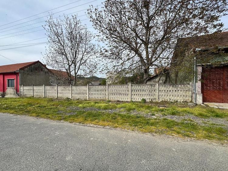 Casa de vanzare,localitatea Criciova,Jude?ul Timi? - 5