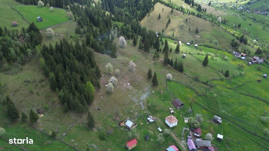 Teren 1.29 ha + 1 ha padure, acces usor - 3