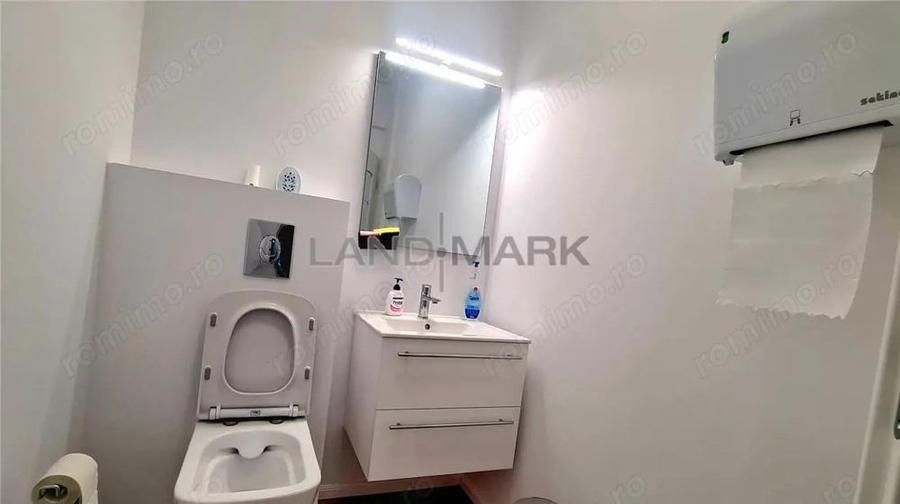 Spatiu birouri de inchiriat, Timisoara Calea Aradului - 3