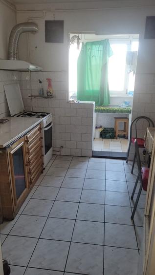 Colentina Teiul Doamnei - 3