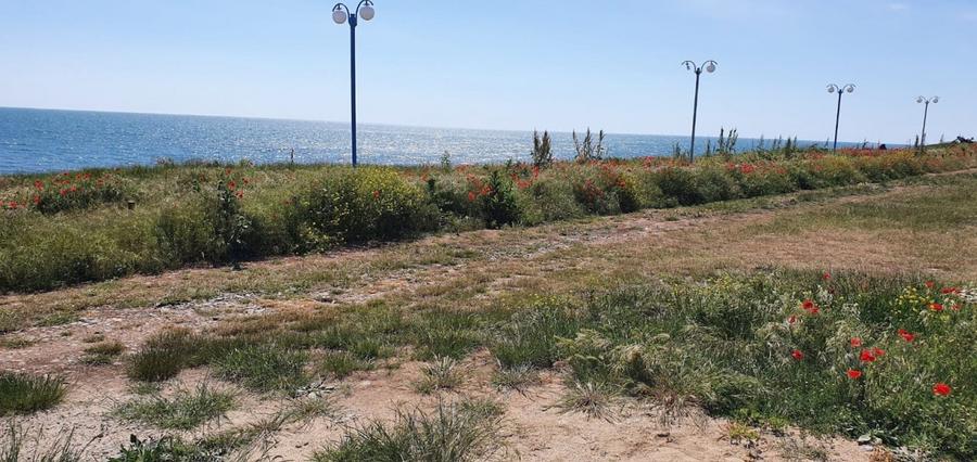 Teren Intravilan 2000 mp in Vama Veche in PRIMA LINIE LA MARE - 2