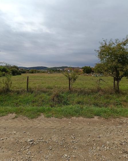 Teren intravilan 8000 mp , DR.D.Vechi - 1