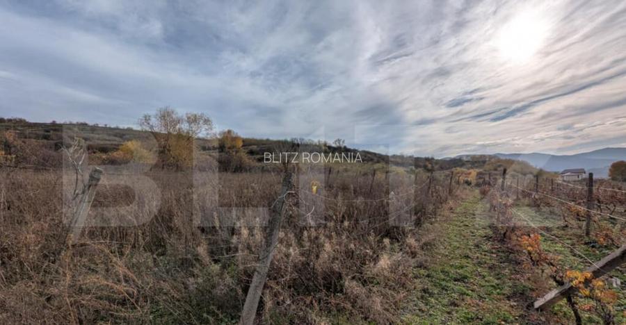 Teren pretabil pentru cabana, cu view