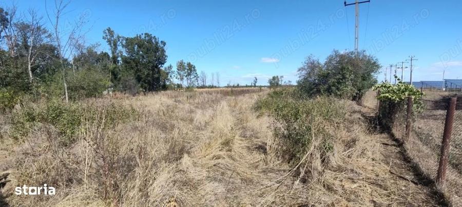 Teren intravilan 2.441 mp ideal casa / solar / fotovoltaice - 2