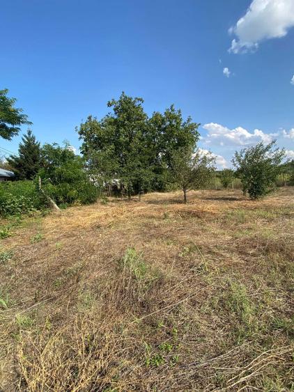 Vand Teren 1500 m2 (Sau 2 loturi a 750 m2 fiecare) (Pret negociabil) - 6