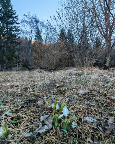 Casa de vacanta de vanzare in Rasnov - Brasov - 11