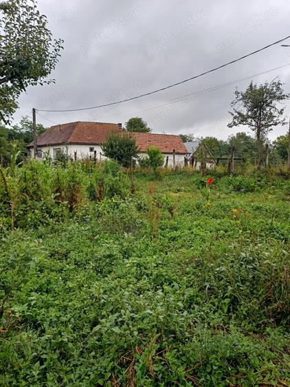 Casa de vanzare in Alma jude?ul Sibiu - 7