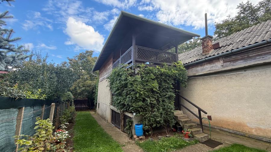 Casa de vinificatie in Viile Tieamului Carei - 28