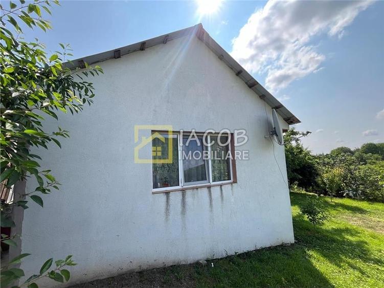 Casa cu 1690 mp teren, vie pe rod, comuna Sarata, jud. Bacau - 11