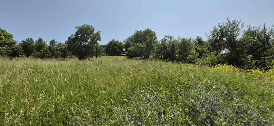 Vand teren intravilan in Feiurdeni - 6