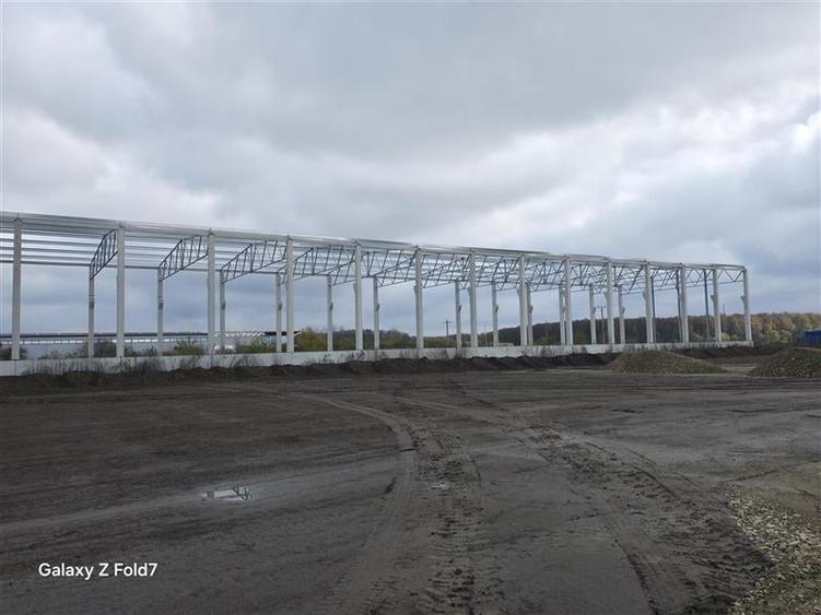 Vanzare depozit/hala/spatiu industrial Mogosoaia - Buftea - 6