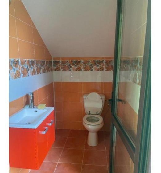 Inchiriere Vila P+1+M in Jilava - 3