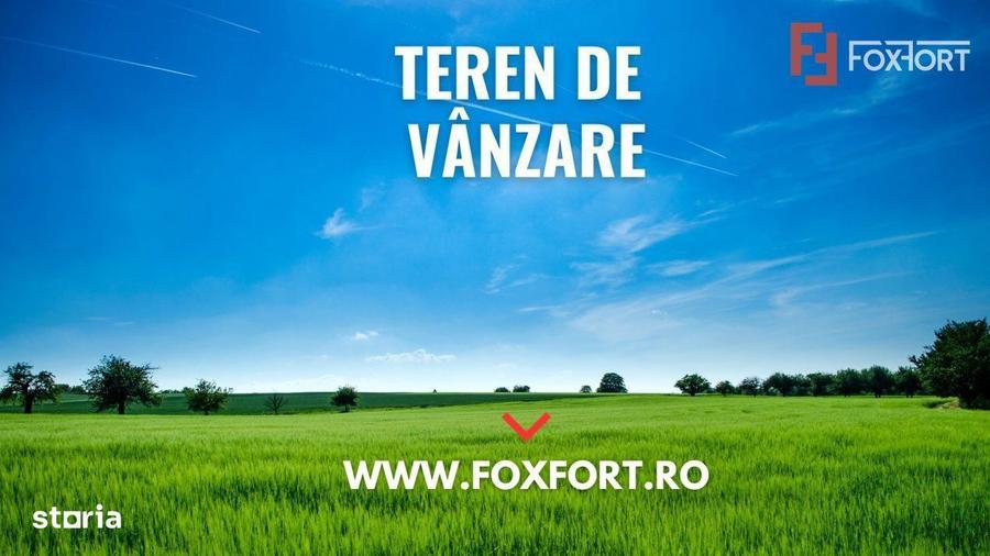 Teren extravilan pretabil constructii industriale - zona Calea Sagului - 4
