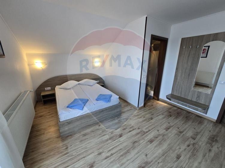 VILA ORHIDEEA  PENSIUNE  DE VANZARE IN STATIUNEA  PALTINIS JUD SIBIU - 12