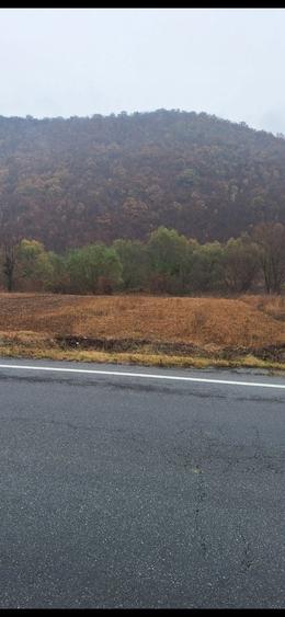 Teren intre Orsova si Toplet - 3