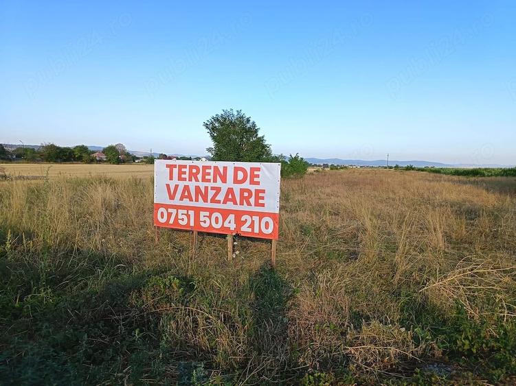 Teren de 7796 mp, în Cornu Luncii