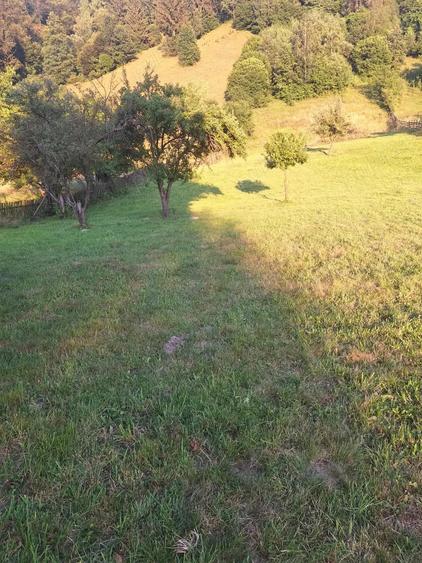 Vanzare casa de vacanta + teren in Moieciu de Jos(jud.Brasov) - 7