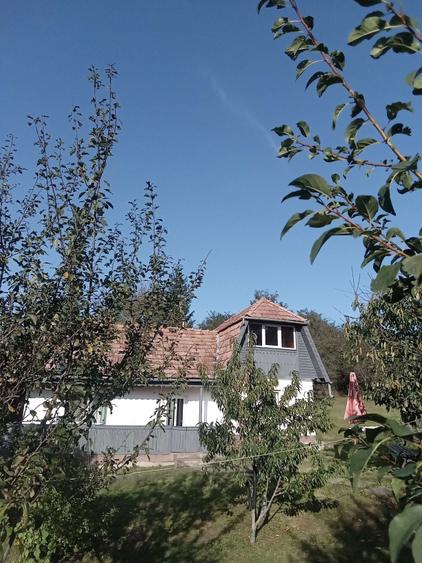 o casa rurala si teren de vanzare razoare - 6