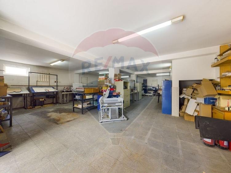 Casa / Vila cu 21 camere de vanzare in zona Alexandriei - 34