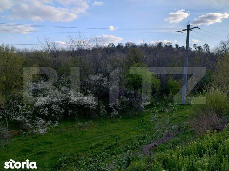 Teren padure 10 ha, extravilan, 400 ml deschidere, stradal, zona Breas - 1