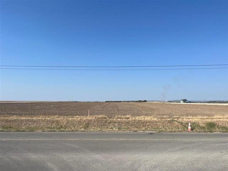 RECO Teren extravilan cu acces  la drumul Oradea-Livada de Bihor - 8