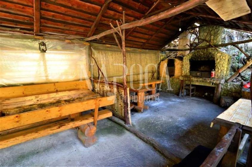 Casa 9 camere de vanzare in Sat Cerc, Valea Ierii - 15