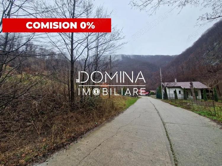 Vanzare teren, situat in Comuna Pe?ti?ani , sat Gureni - zona de munte - 1