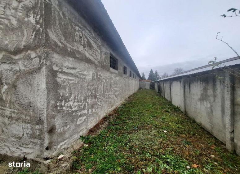 Spatiu comercial Ocol , 720 metri Cod:148594 - 2