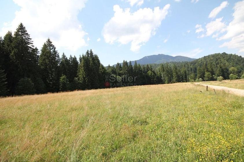 Poiana lui Manole - teren Intravilan - 8