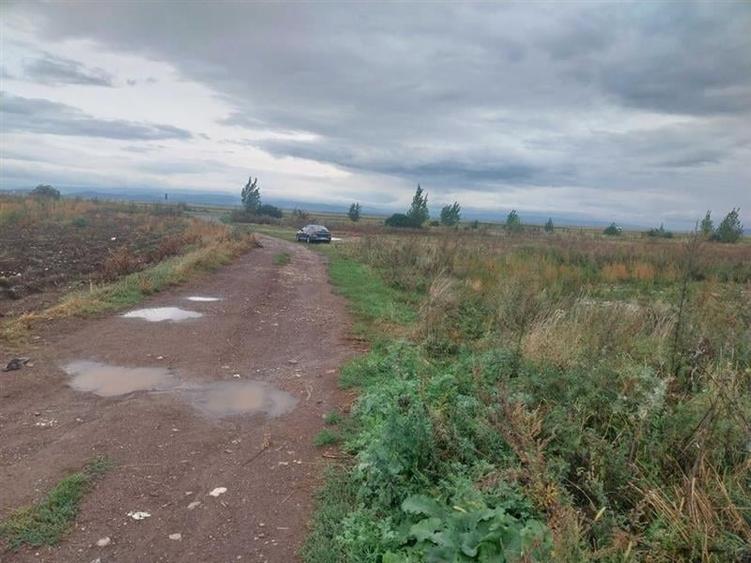 33.100mp, Tarlungeni, Brasov - 1