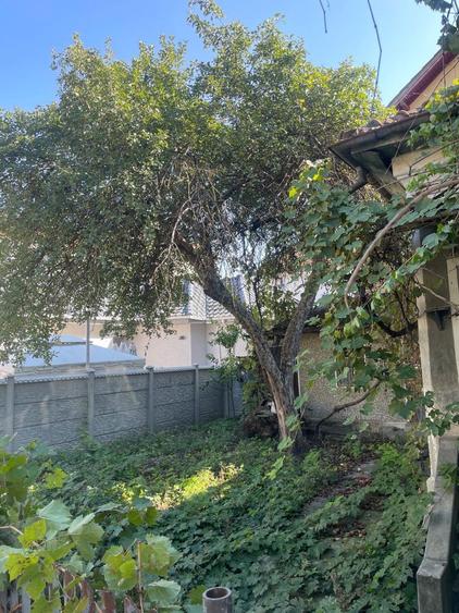 Vand casa,zona centrala. - 1