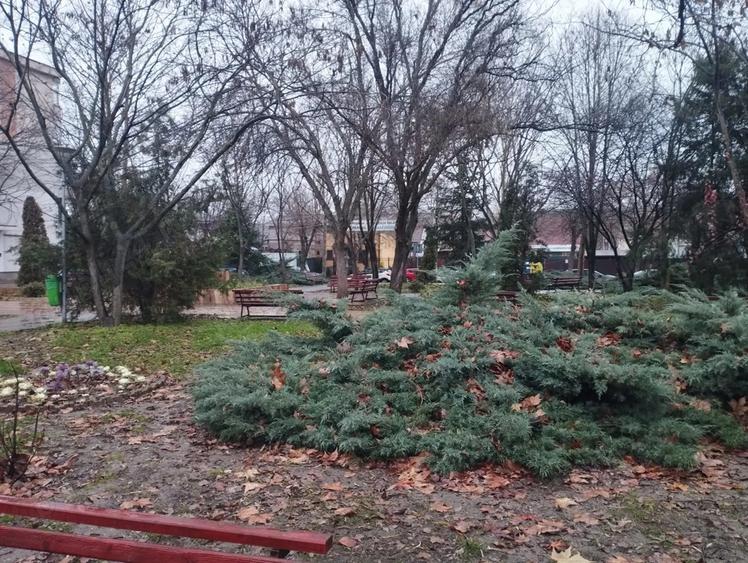 Vand apartament 3 camere decomandat, 85 mp, etaj 1 din 4, Mun. Calarasi, Cartier Mircea Voda - 3