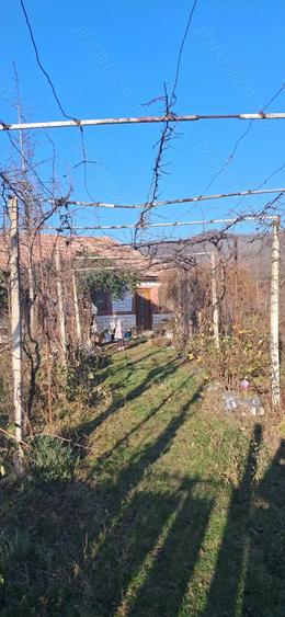 Casa batraneasca si teren. - 2