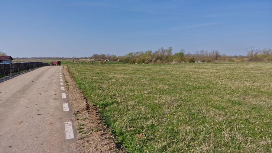 8433 mp Teren intravilan pentru constructii - 3