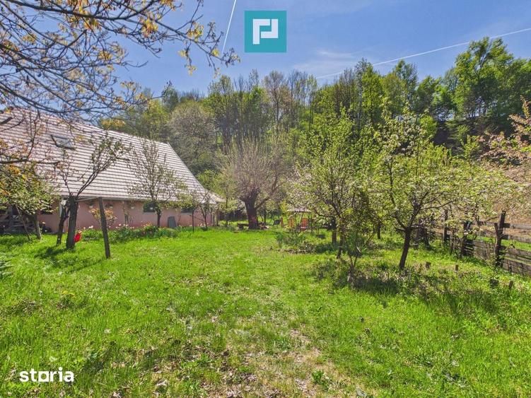 Casa Campani, 8000 mp teren, la poalele Apusenilor - 1