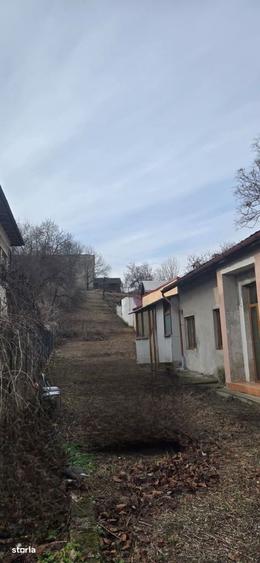 Oportunitate investitie zona centrala; potential rezidential+business - 2